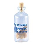 NGH103S Prehistoric Tooth in Mini Glass Bottle
